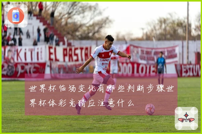 世界杯临场变化有哪些判断步骤世界杯体彩竞猜应注意什么